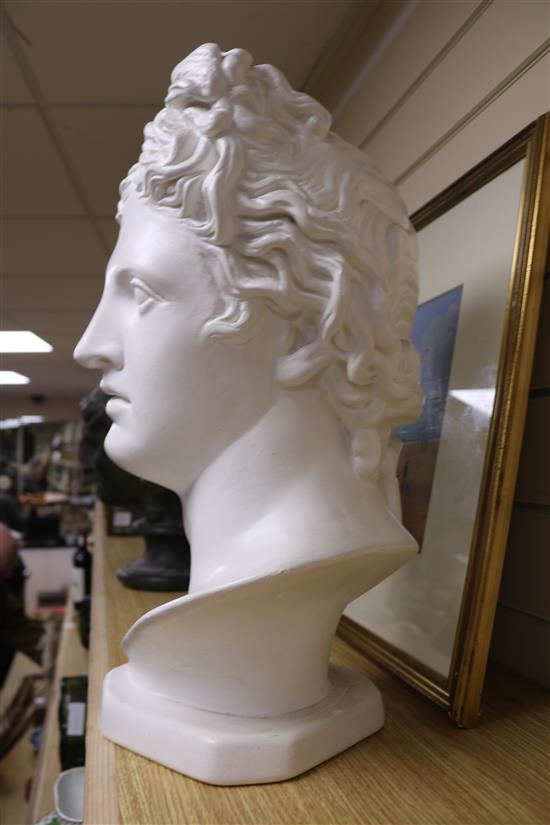 A plaster bust of Apollo